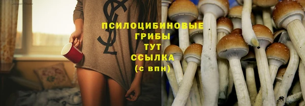 ГАЛЛЮЦИНОГЕННЫЕ ГРИБЫ Волосово