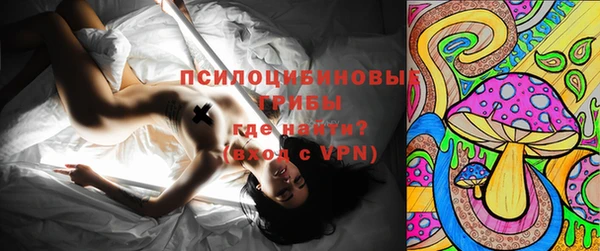 тгк Вяземский